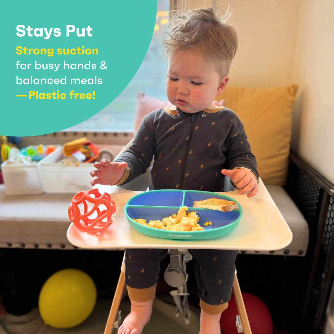 Color Pop Suction Plate