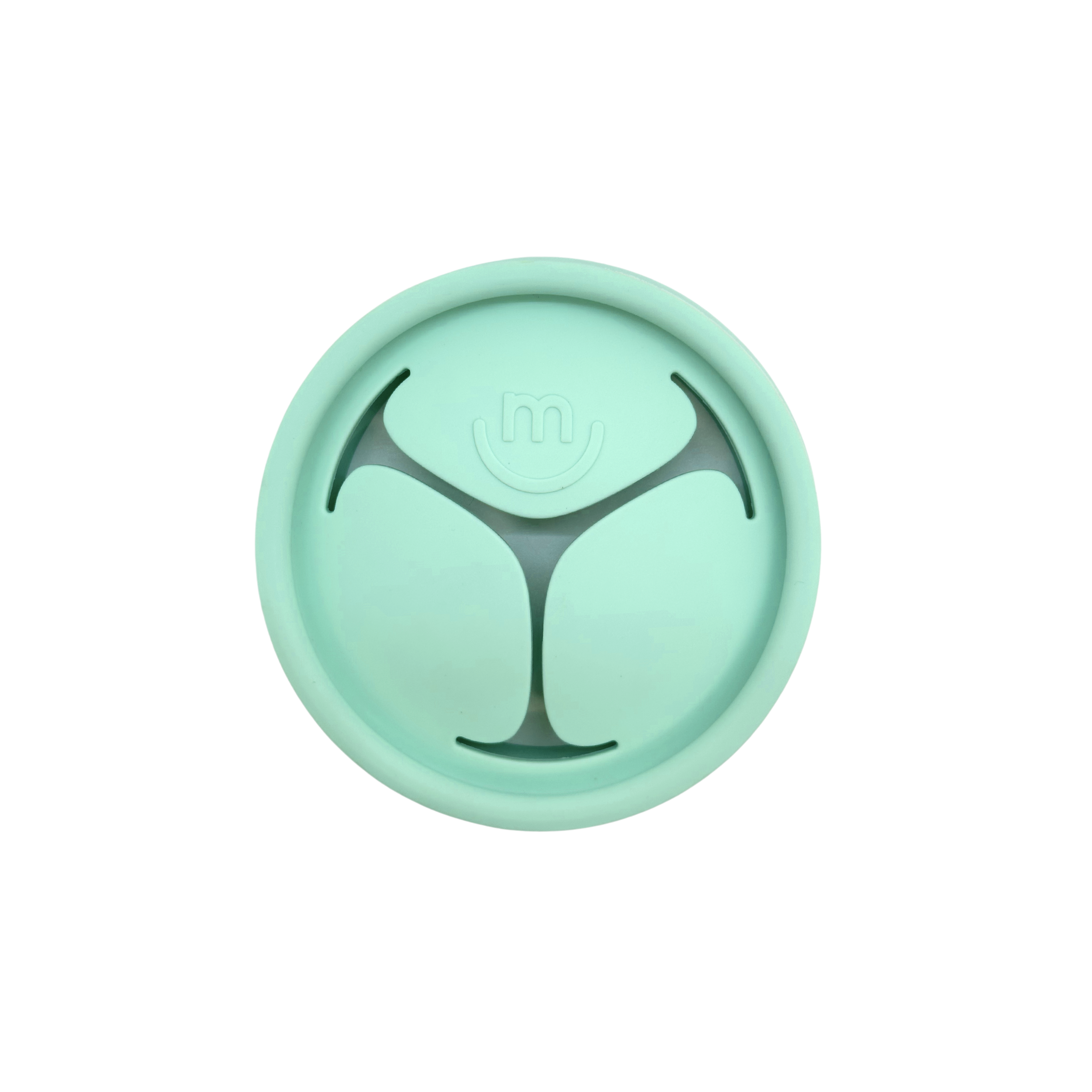 The Everything Snack Lid  morepeas Mint