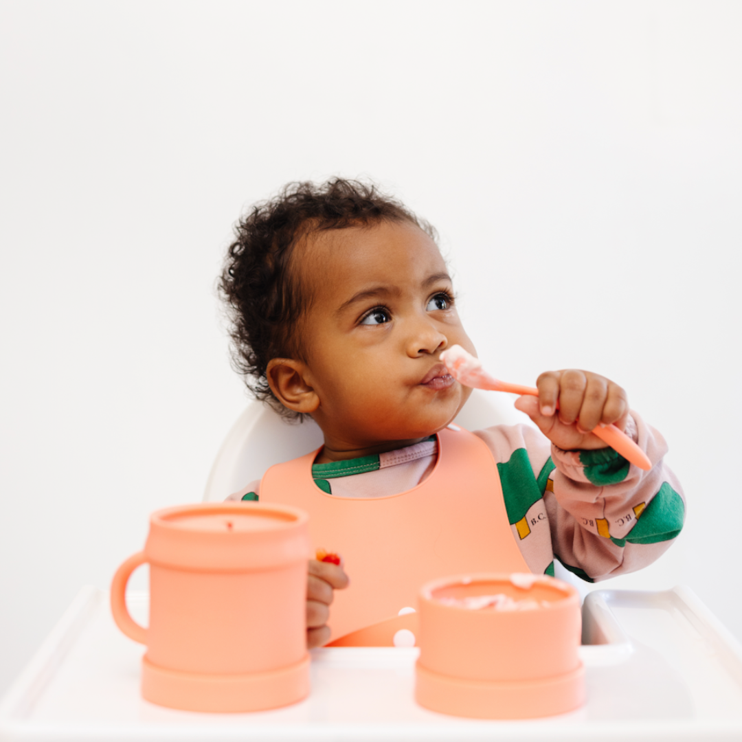 Everything Bowl Bundle (6+ months)